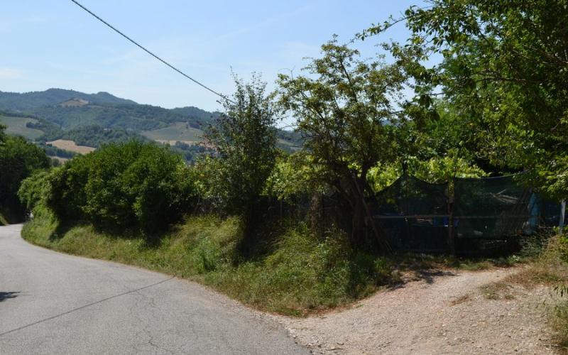 006.25 - Fermignano - vendesi lotto di terreno agricolo con capanni